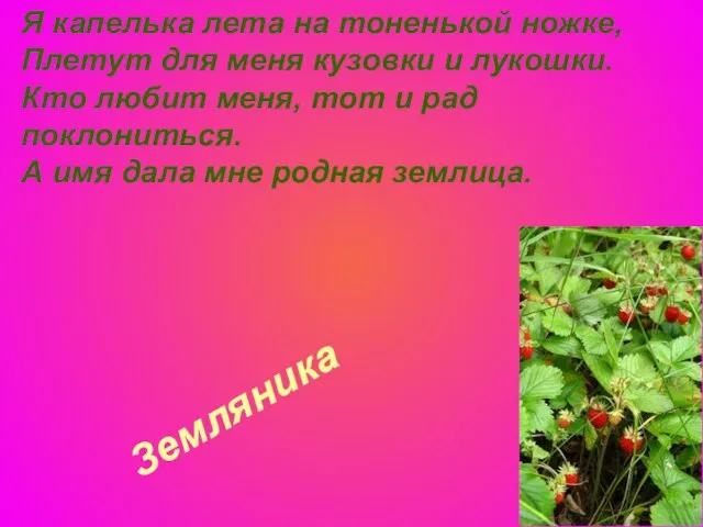 Земляника Я капелька лета на тоненькой ножке, Плетут для меня кузовки и