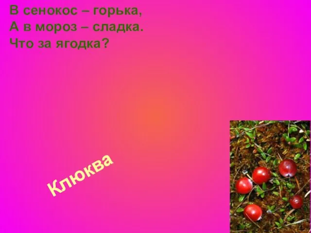 Клюква В сенокос – горька, А в мороз – сладка. Что за ягодка?