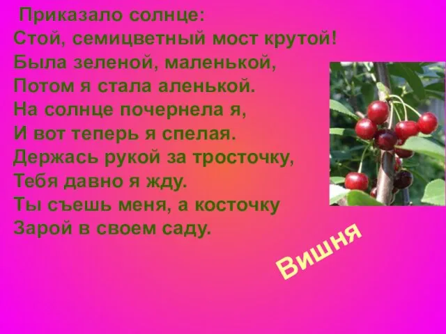 Вишня Приказало солнце: Стой, семицветный мост крутой! Была зеленой, маленькой, Потом я