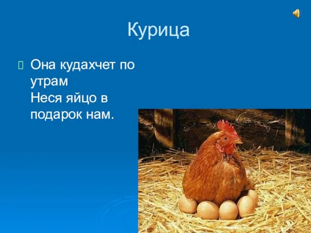 Курица Она кудахчет по утрам Неся яйцо в подарок нам.