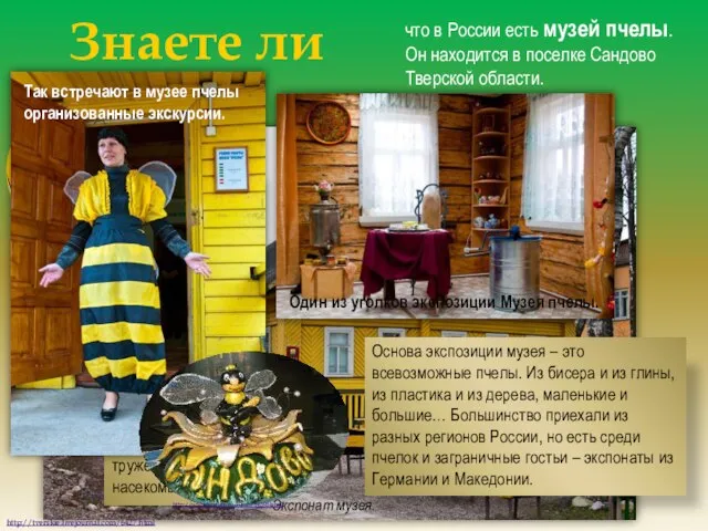 Знаете ли Вы… что в России есть музей пчелы. Он находится в