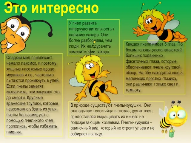 Сладкий мед привлекает немало лакомок, и поэтому хищные насекомые вроде муравьев и