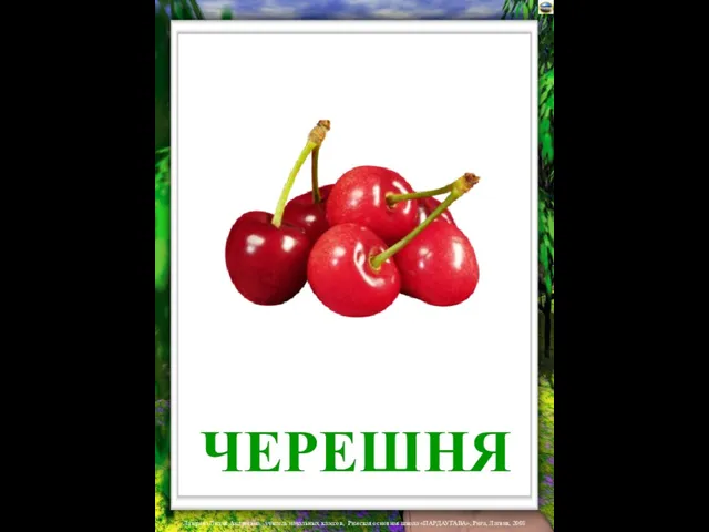 ЧЕРЕШНЯ