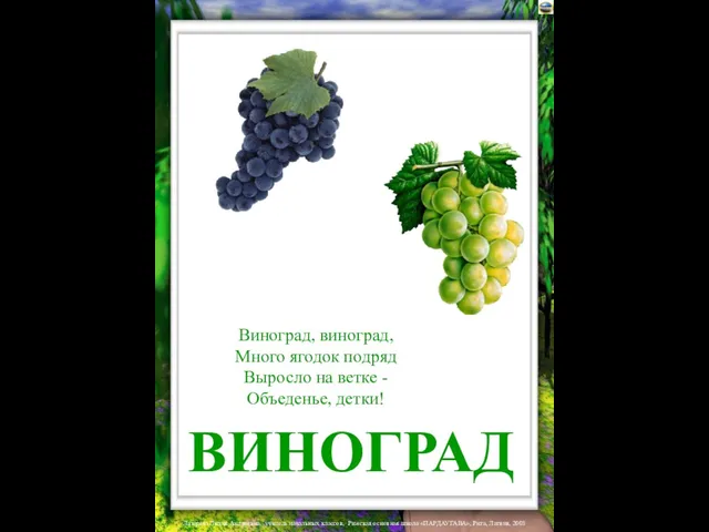 ВИНОГРАД Виноград, виноград, Много ягодок подряд Выросло на ветке - Объеденье, детки!