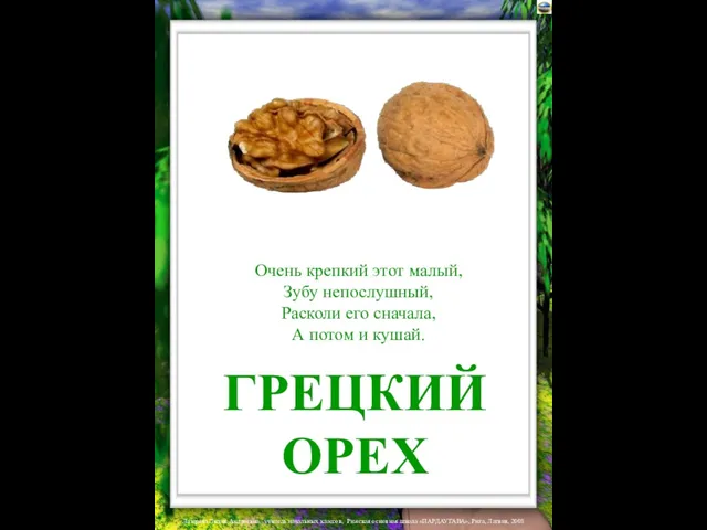 ГРЕЦКИЙ ОРЕХ Очень крепкий этот малый, Зубу непослушный, Расколи его сначала, А потом и кушай.