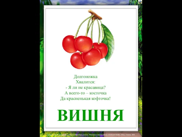 ВИШНЯ Долгоножка Хвалится: - Я ли не красавица? А всего-то – косточка Да красненькая кофточка!