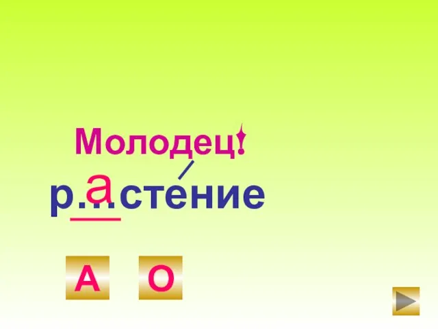 р…стение А О а Молодец!