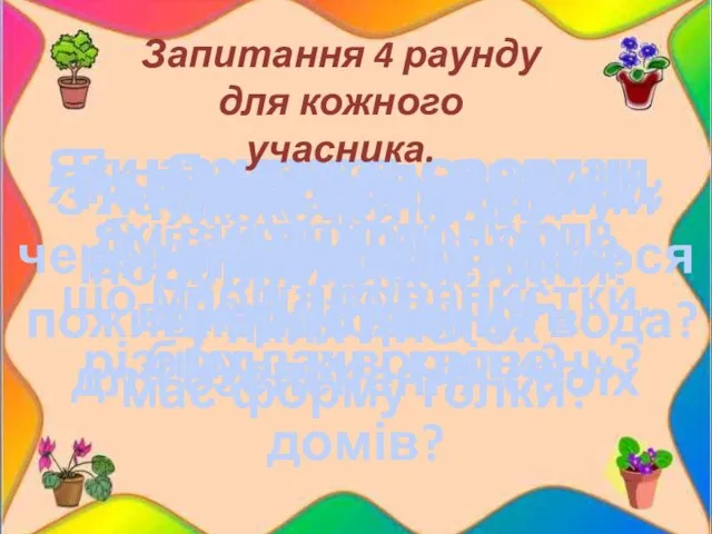 Якого кольору бувають помідори? На які три групи поділяють рослини? Як називається