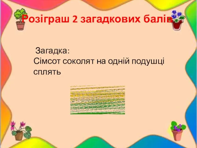 Розіграш 2 загадкових балів. Загадка: Сімсот соколят на одній подушці сплять