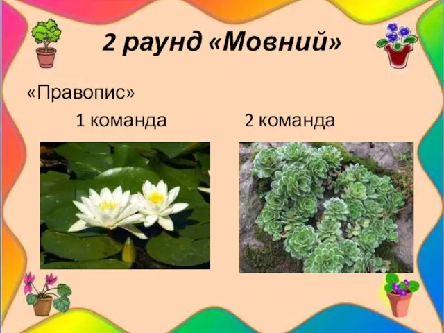 2 раунд «Мовний» «Правопис» 1 команда 2 команда