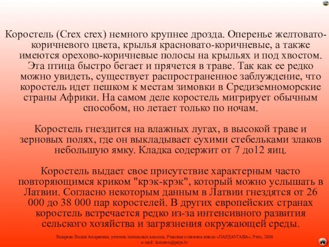 Коростель (Crex crex) немного крупнее дрозда. Оперенье желтовато-коричневого цвета, крылья красновато-коричневые, а