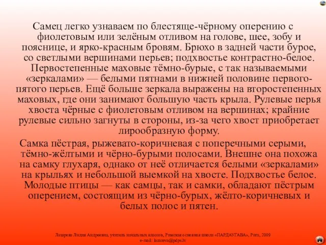 Самец легко узнаваем по блестяще-чёрному оперению с фиолетовым или зелёным отливом на