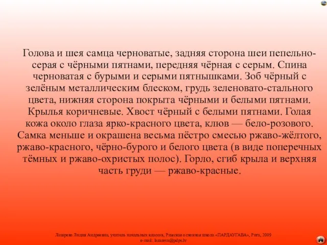 Голова и шея самца черноватые, задняя сторона шеи пепельно-серая с чёрными пятнами,