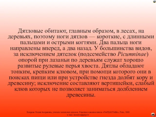 Дятловые обитают, главным образом, в лесах, на деревьях, поэтому ноги дятлов —