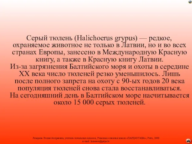 Серый тюлень (Halichoerus grypus) — редкое, охраняемое животное не только в Латвии,