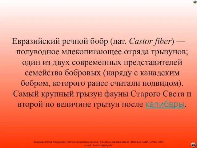 Евразийский речной бобр (лат. Castor fiber) — полуводное млекопитающее отряда грызунов; один