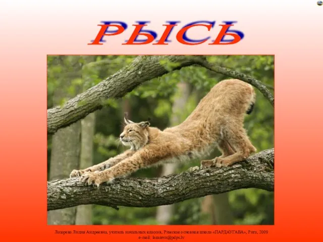 РЫСЬ