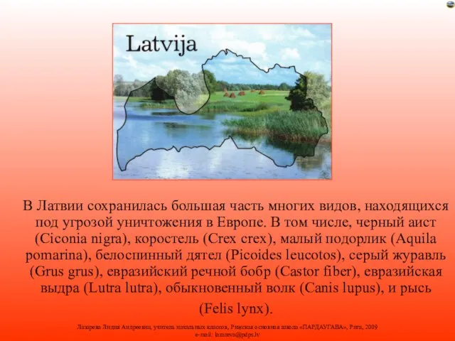 В Латвии сохранилась большая часть многих видов, находящихся под угрозой уничтожения в
