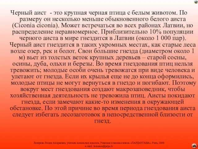 Черный аист - это крупная черная птица с белым животом. По размеру