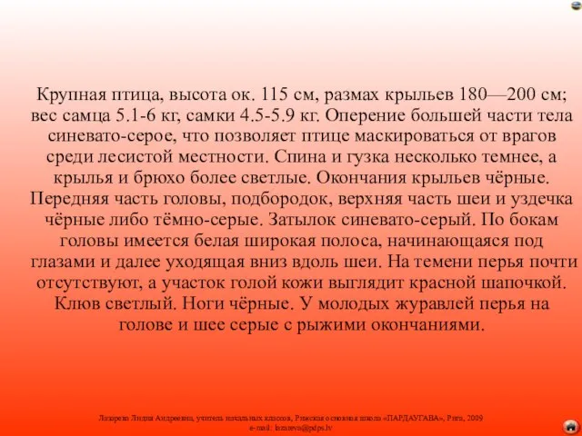 Крупная птица, высота ок. 115 см, размах крыльев 180—200 см; вес самца