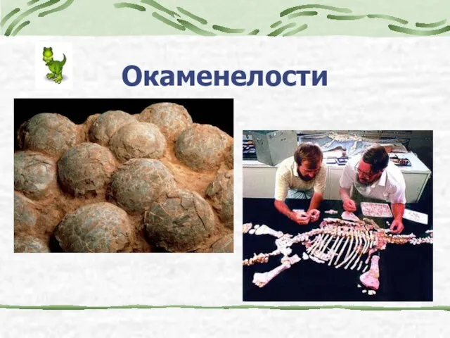 Окаменелости