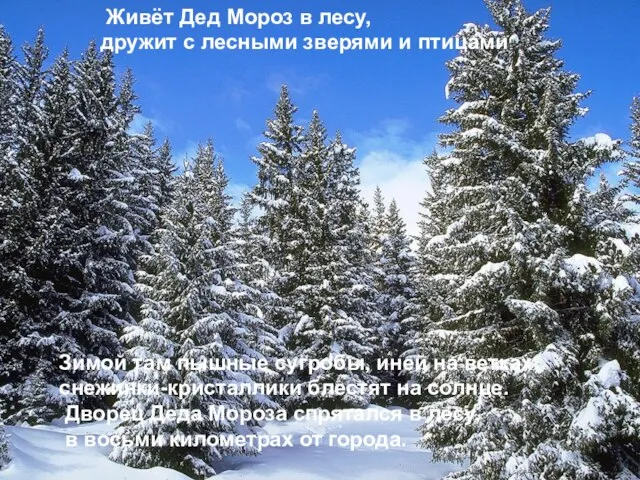 Живёт Дед Мороз в лесу, дружит с лесными зверями и птицами Зимой