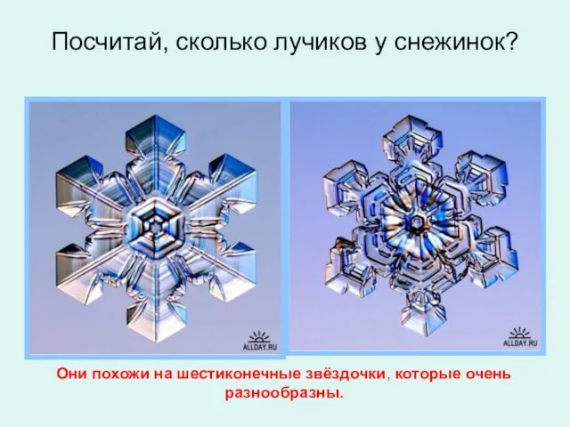 Посчитай, сколько лучиков у снежинок? Они похожи на шестиконечные звёздочки, которые очень разнообразны.