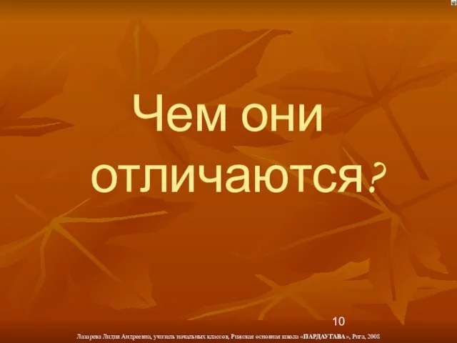 Чем они отличаются?