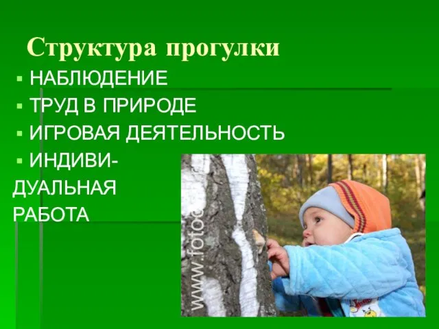 Структура прогулки НАБЛЮДЕНИЕ ТРУД В ПРИРОДЕ ИГРОВАЯ ДЕЯТЕЛЬНОСТЬ ИНДИВИ- ДУАЛЬНАЯ РАБОТА