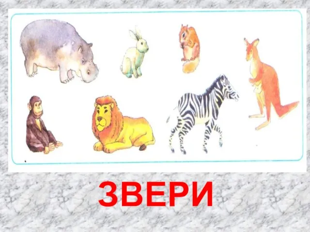 ЗВЕРИ