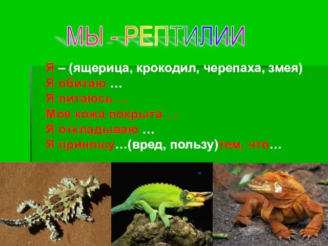 Я – (ящерица, крокодил, черепаха, змея) Я обитаю … Я питаюсь …