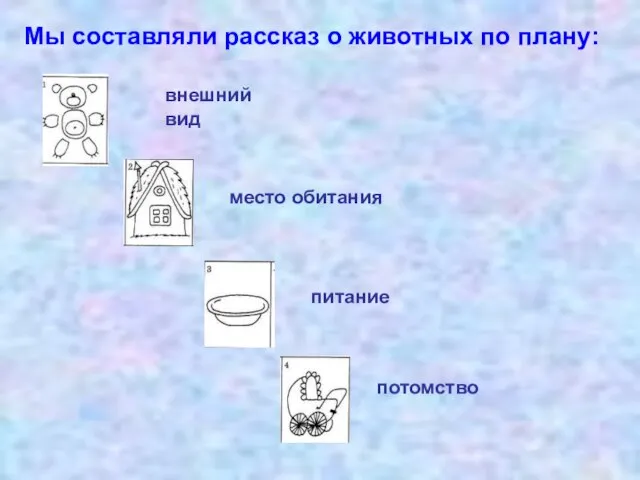 Мы составляли рассказ о животных по плану: внешний вид место обитания питание потомство