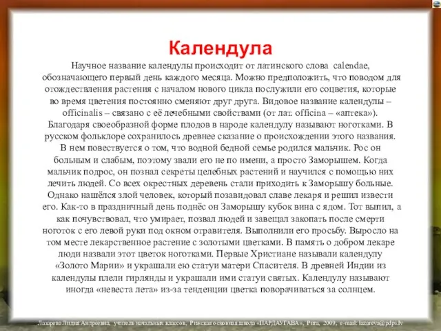 Календула Научное название календулы происходит от латинского слова calendae, обозначающего первый день