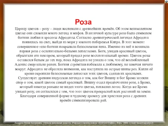 Роза Царицу цветов – розу – люди воспевали с древнейших времён. Об