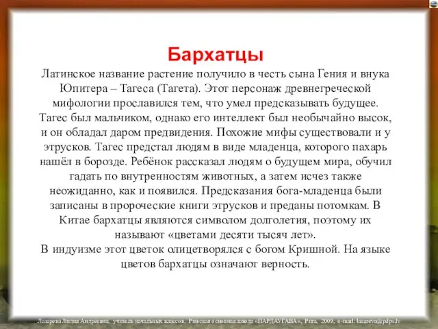 Бархатцы Латинское название растение получило в честь сына Гения и внука Юпитера