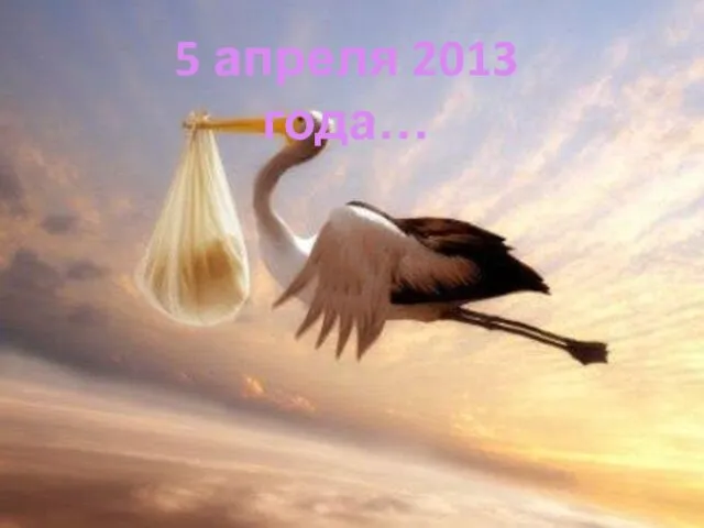 5 апреля 2013 года…