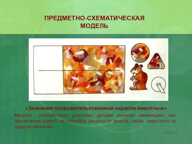 «Значение покровительственной окраски животных» Модель способствует усвоению детьми понятия «мимикрия» как проявление