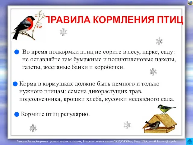 ПРАВИЛА КОРМЛЕНИЯ ПТИЦ Во время подкормки птиц не сорите в лесу, парке,