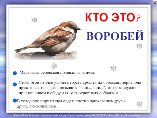 ВОРОБЕЙ КТО ЭТО? Маленькая серенькая подвижная птичка. Стоит этой птичке увидеть горсть