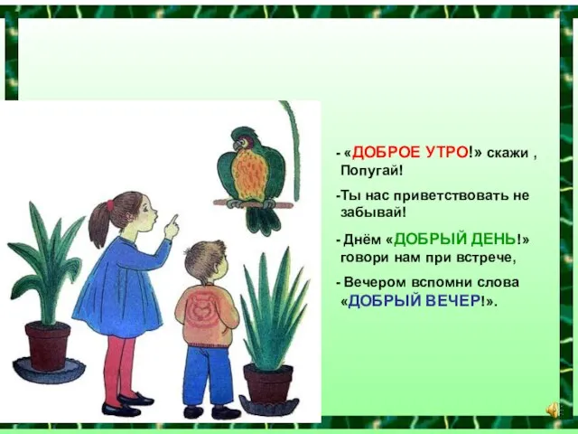 «ДОБРОЕ УТРО!» скажи , Попугай! Ты нас приветствовать не забывай! Днём «ДОБРЫЙ