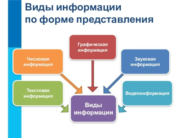 Виды информации по форме представления Виды информации Числовая информация Текстовая информация Графическая информация Видеоинформация Звуковая информация