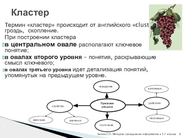 Термин «кластер» происходит от английского «cluster» – гроздь, скопление. При построении кластера