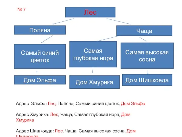 Лес Поляна Чаща Самый синий цветок Самая глубокая нора Самая высокая сосна