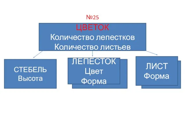 №25 ЦВЕТОК Количество лепестков Количество листьев СТЕБЕЛЬ Высота ЛЕПЕСТОК Цвет Форма ЛИСТ Форма