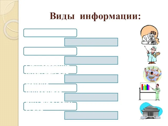 Виды информации: