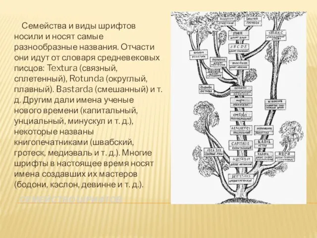 Семейство шрифтов Семейства и виды шрифтов носили и носят самые разнообразные названия.