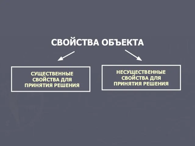 СВОЙСТВА ОБЪЕКТА СУЩЕСТВЕННЫЕ СВОЙСТВА ДЛЯ ПРИНЯТИЯ РЕШЕНИЯ НЕСУЩЕСТВЕННЫЕ СВОЙСТВА ДЛЯ ПРИНЯТИЯ РЕШЕНИЯ