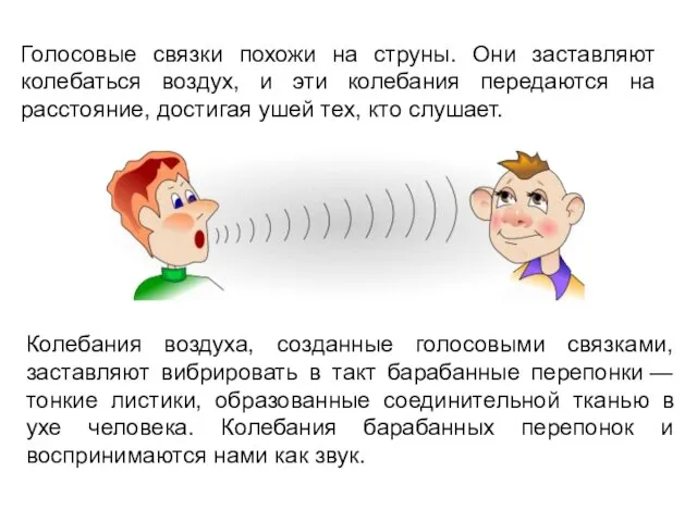 Голосовые связки похожи на струны. Они заставляют колебаться воздух, и эти колебания