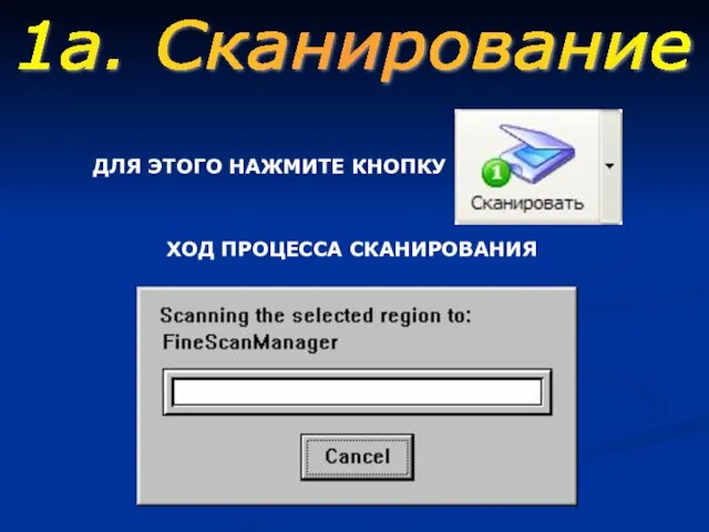 ДЛЯ ЭТОГО НАЖМИТЕ КНОПКУ ХОД ПРОЦЕССА СКАНИРОВАНИЯ 1а. Сканирование