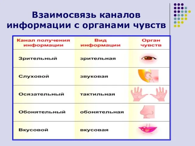 Взаимосвязь каналов информации с органами чувств